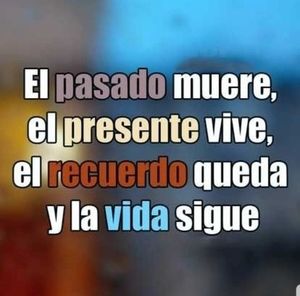 Meet your Posher, Luis